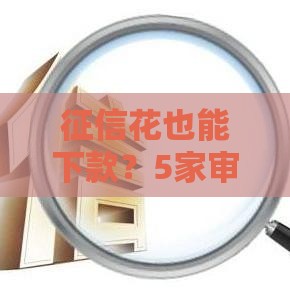 征信花也能下款？5家审核宽松的网贷平台实测盘点