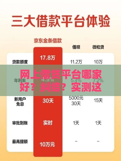 网上借贷平台哪家好？纠结？实测这5家最靠谱！