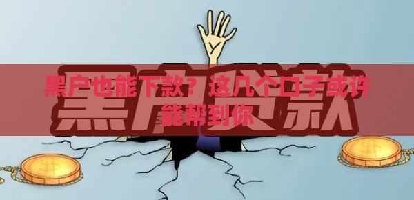 黑户也能下款？这几个口子或许能帮到你