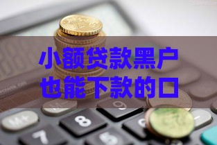 小额贷款黑户也能下款的口子有哪些? 小额贷款黑户也能下款的口子有哪些?