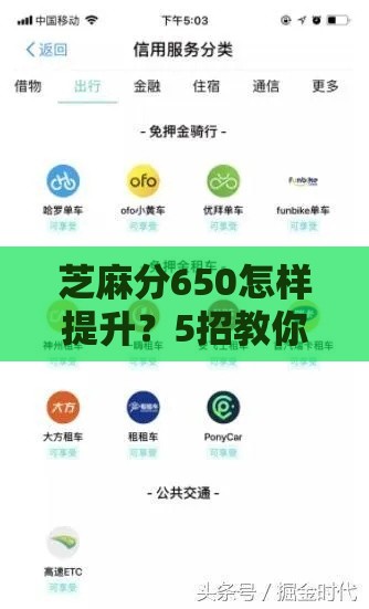 芝麻分650怎样提升？5招教你快速优化个人征信评分