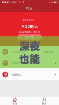 深夜也能快速到账的贷款口子推荐