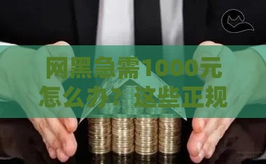网黑急需1000元怎么办？这些正规借款渠道别错过！