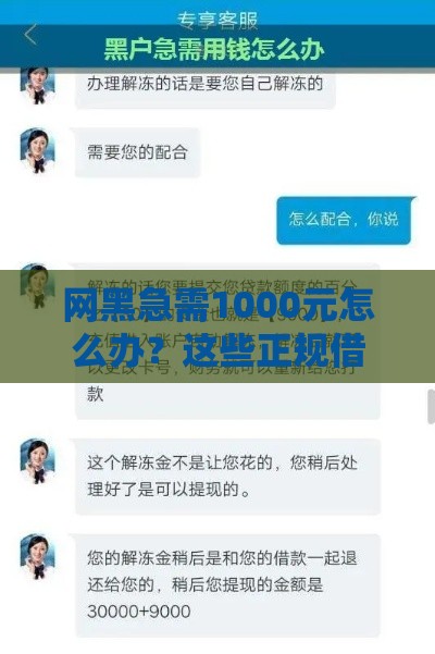 网黑急需1000元怎么办？这些正规借款渠道别错过！