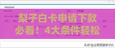 梨子白卡申请下款必看！4大条件轻松过审