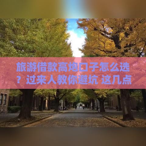 旅游借款高炮口子怎么选？过来人教你避坑 这几点必须看！