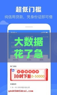 大数据花了急用钱？别慌！这5个口子下款快+门槛低，亲测有效！