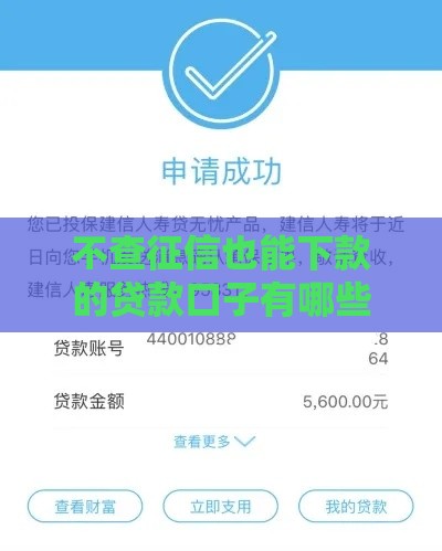 不查征信也能下款的贷款口子有哪些？
