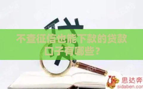 不查征信也能下款的贷款口子有哪些？