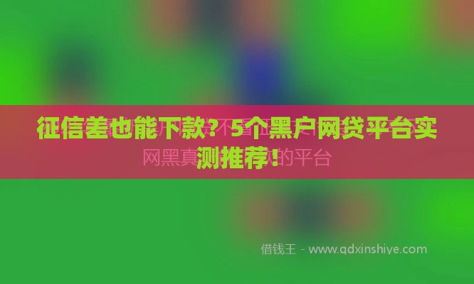 征信差也能下款？5个黑户网贷平台实测推荐！