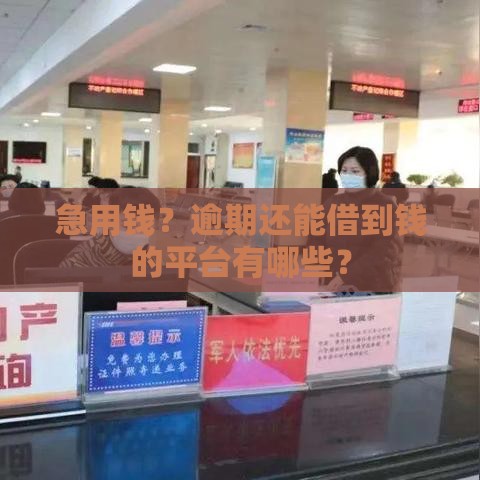 急用钱？逾期还能借到钱的平台有哪些？