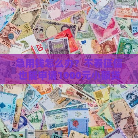 急用钱怎么办？不看征信也能申请1000元小额贷款攻略