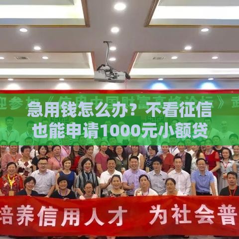 急用钱怎么办？不看征信也能申请1000元小额贷款攻略