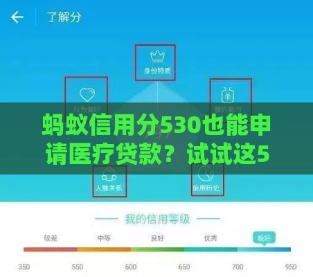 蚂蚁信用分530也能申请医疗贷款？试试这5个实用方法！