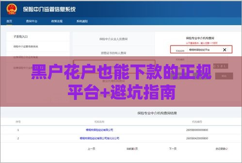 黑户花户也能下款的正规平台+避坑指南