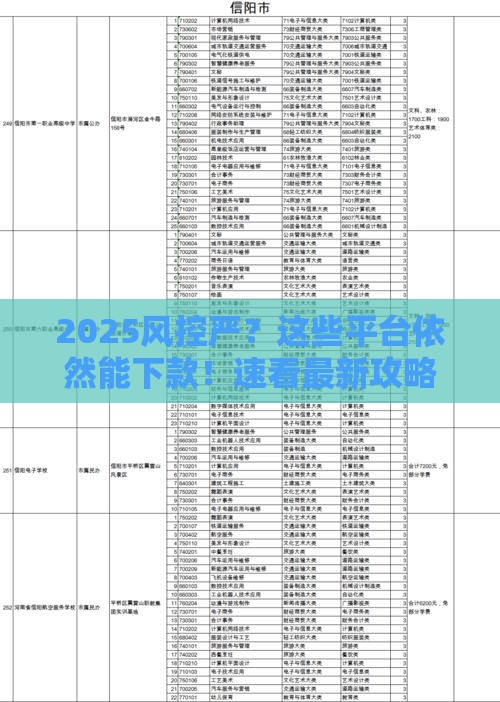 2025风控严？这些平台依然能下款！速看最新攻略