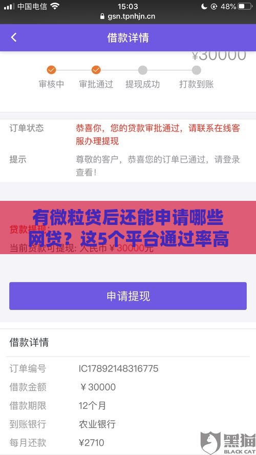 有微粒贷后还能申请哪些网贷？这5个平台通过率高！