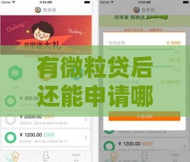 有微粒贷后还能申请哪些网贷？这5个平台通过率高！