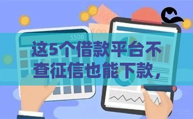 这5个借款平台不查征信也能下款，真实测评整理