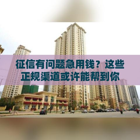 征信有问题急用钱？这些正规渠道或许能帮到你