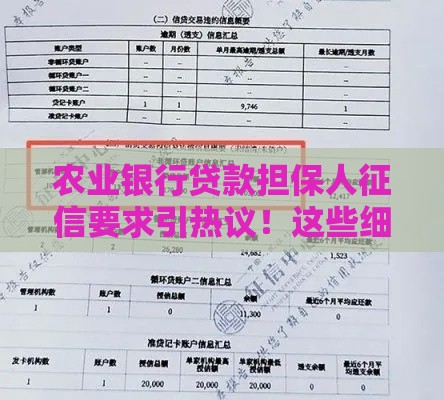 农业银行贷款担保人征信要求引热议！这些细节别忽略