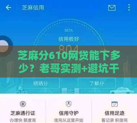芝麻分610网贷能下多少？老哥实测+避坑干货分享