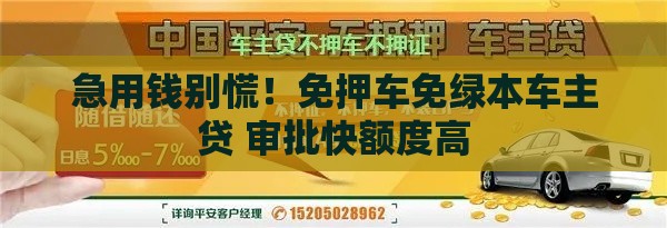 急用钱别慌！免押车免绿本车主贷 审批快额度高