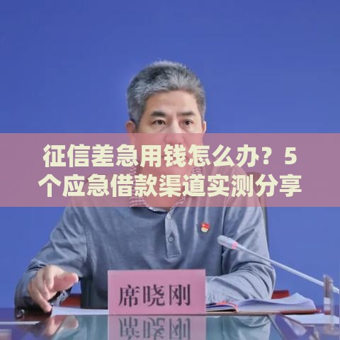 征信差急用钱怎么办？5个应急借款渠道实测分享