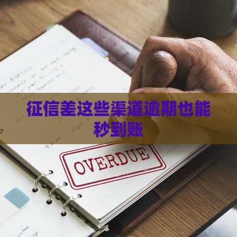 征信差这些渠道逾期也能秒到账