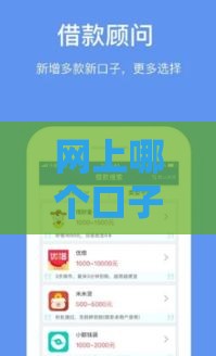 网上哪个口子借钱用？这些正规平台值得试试！