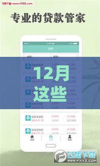 12月这些秒下款口子轻松解决资金难题