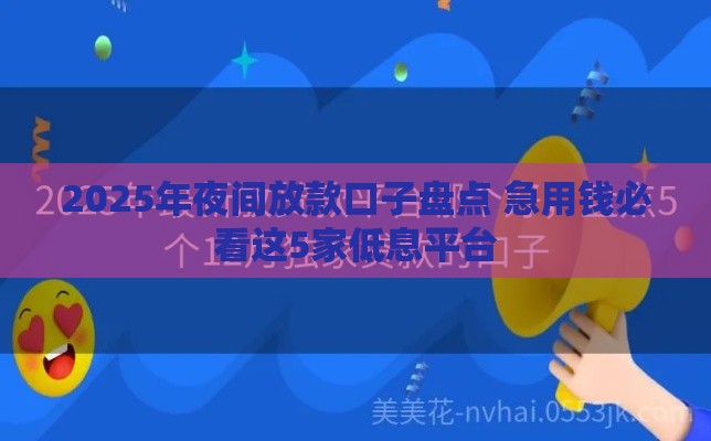 2025年夜间放款口子盘点 急用钱必看这5家低息平台