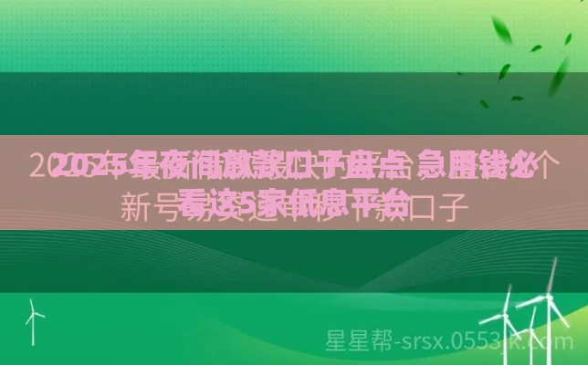 2025年夜间放款口子盘点 急用钱必看这5家低息平台
