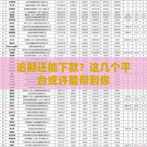 逾期还能下款？这几个平台或许能帮到你