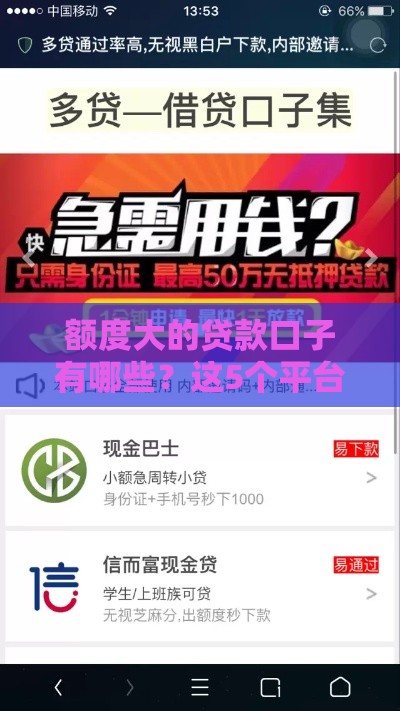 额度大的贷款口子有哪些？这5个平台下款快、利息低！