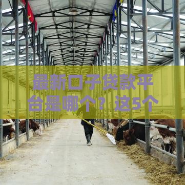 最新口子贷款平台是哪个？这5个正规渠道靠谱推荐！