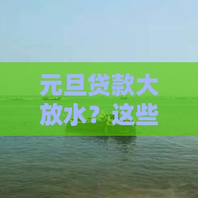 元旦贷款大放水？这些低息口子现在申请最划算