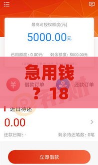 河马钱包哪里的口子最稳 实测5分钟到账不忽悠