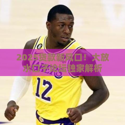 2025贷款新风口！大放水口子论坛独家解析