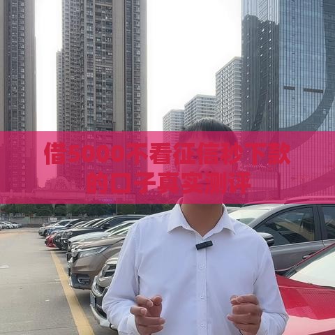 借5000不看征信秒下款的口子真实测评
