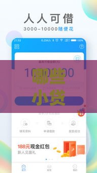 哪些小贷口子额度高？实测推荐这5家轻松拿大额！