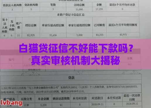 白猫贷征信不好能下款吗？真实审核机制大揭秘