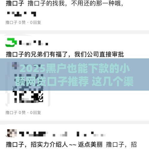 2025黑户也能下款的小额网贷口子推荐 这几个渠道门槛低