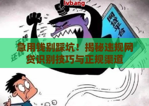 急用钱别踩坑！揭秘违规网贷识别技巧与正规渠道