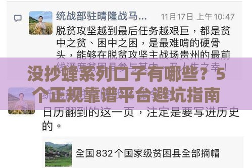 没抄蜂系列口子有哪些？5个正规靠谱平台避坑指南