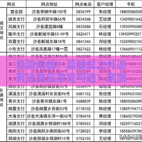 急需用钱？薪朋友之外还有这些应急贷可选！亲测靠谱