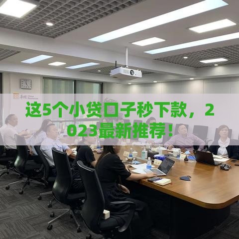 这5个小贷口子秒下款，2023最新推荐！