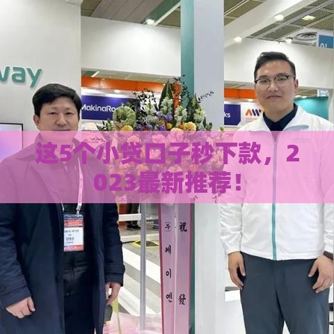 这5个小贷口子秒下款，2023最新推荐！
