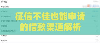 征信不佳也能申请的借款渠道解析