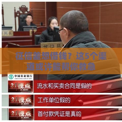 征信差想借钱？这5个渠道或许能帮你救急